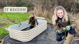 NEW RAISED BEDS & Pest struggles | Allotment VLOG #27