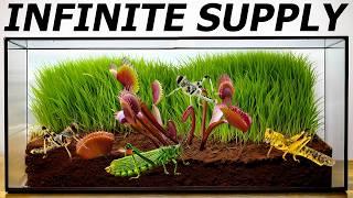 Simulating a Venus Flytrap Ecosystem (Full Build)
