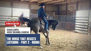 D/C  TRAINING THE DOMINANT HORSE THAT RESISTS LISTENING  | Part 2 - Riding Foundation