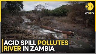 Zambia: River 'Dies' Overnight, Millions Facing The Brunt | World News | WION