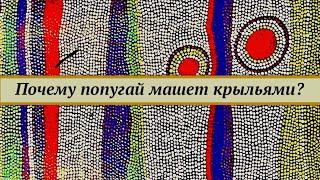 Почему попугай машет крыльями? Сравнение разных видов движения попугая на примере жако.