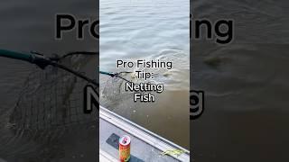 3 Fish Netting Tips to be a Better Co-Angler #fishing #fishingtips #bassfishing