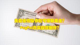 无需任何操作就可赚取美金？PayPal真实提款到账？