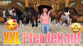  ich kaufe ALLE PFERDE die ich mag  XXL Pferdekauf  Star Stable