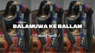 BALAMUWA KE BALLAM - (SLOWED+REVERB) | BHOJPURI SONGS | CHANDAN VIBXZ