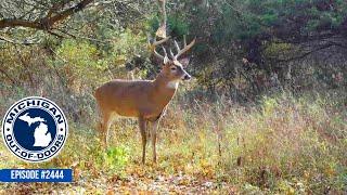 Bow Hunting, Gun Hunting, Bragging Board; Michigan Out of Doors TV #2444