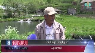 Рыба Ишхан из хозяйства Айказа Манвеляна. Համեղ Իշխանը Հայկազ Մանվելյանի ձկնաբուծական ջրամբարից
