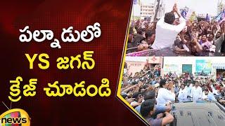 YS Jagan Craze in Palnadu | YS Jagan Palnadu Tour | YSR Congress Party | AP Politics | Mango News
