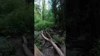 Big Gulch Park bridge