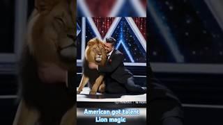 American got talent magical Lion #shorts