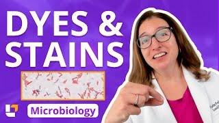 Dyes & Stains - Microbiology for Pre-Med, Nursing and Health Care fields  |​⁠ @leveluprn