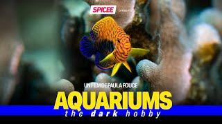 Aquariums : the dark hobby - Bande annonce