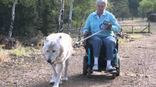 Colorado Wolf and Wildlife Center