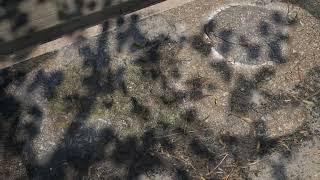 Road Glimpse Unreal Engine 5.1