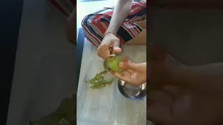 Zespri Kiwifruit  Green#shorts #viral #ycc