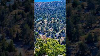 Juniper Forest – A Hidden Heaven in Balochistan ️ #shorts #shortsfeed #trendingshorts #foryou