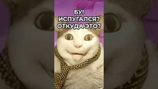 БУ! ИСПУГАЛСЯ? НЕ БОЙСЯ. Что за мем?