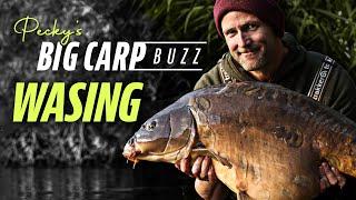 Pecky's Big Carp Buzz - Wasing Estate, Oxlease (Chasing Monster Carp) | Korda 2021