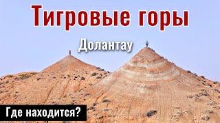 Тигровые горы | Сарытау | Долантау, область Жетысу, Казахстан, 2025 год.