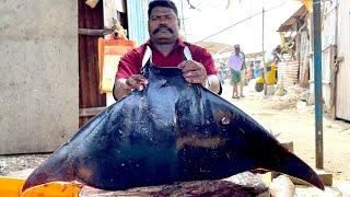 MANTARAY FISH CUTTING | FISH CUTTING SKILLS | FISH CUTTING VIDEOS | #KASIMEDU | UK SONS MARINE