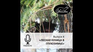 Подкаст ЗВЕРОЛОВ Выпуск 4 "Лесная Куница в глухозимье"