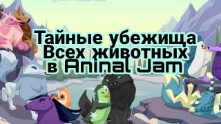 Все тайные убежища животных в Animal Jam #лисичкаголди #Animaljam #энималджем