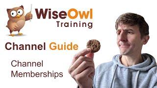 A Quick Guide to Channel Memberships for Wise Owl Tutorials