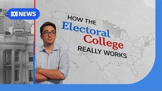 The BEST Way to Understand the US Electoral College System in 2024 | ABC News