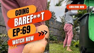 Going barefoot: EP 69 | I took down our unproductive pumpkins | working in the garden