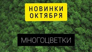 Многоцветные новинки ОКТЯБРЯ // Аннаяке, Иволга, Эстэ, Химера, Надима, Голден Роуз, CS Love и др.