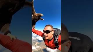 An incredible scene #eagles #incredible #scene #parachute