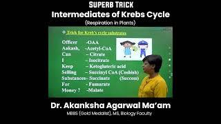 Superb Trick Intermediates of Krebs Cycle | AA Ma'am | #neet2023 #neetprep #biologytricks | #shorts