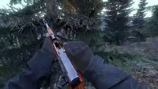 The SKS is DEADLY (1v5) - DayZ