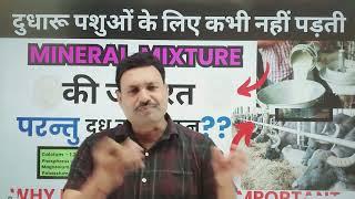 Vet mineral mixture  DD RAMAVAT