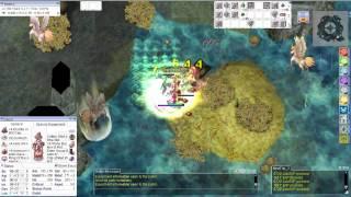 Ragnarok + Sura + CD in mouth + reflect + Loli Ruri + Mental Strength @iRO Chaos