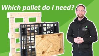 What Pallet Should I Use for Shipping? | Kite Packaging