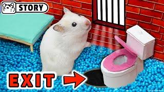  Hamster escapes the Amazing Prison Maze  Homura Ham