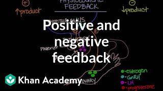 Physiological concept of positive and negative feedback | Behavior | MCAT | Khan Academy