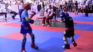 Ioannis Kipriadis v Vladislav Voronin Hungarian World Cup 2017