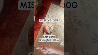 #missingperson #fye