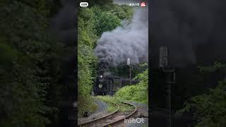 Bhavna Rani  chhuk chhuk chhuk chhuk railgadi  #shorts #viral