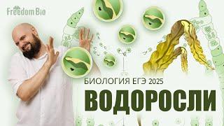 ВОДОРОСЛИ для ЕГЭ по биологии 2025 |Ботаника| ЕГЭ БИОЛОГИЯ 2025|Freedom|