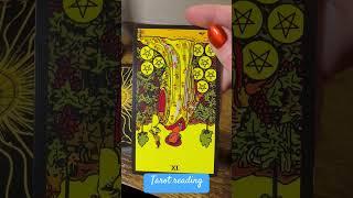 Tarot reading. Your taking in too much. #tarot #tarotcardreadingoftheday #tarotreader