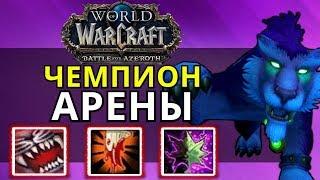 ОН СТАЛ ЧЕМПИОНОМ 2019 ГОДА, НЕРЕАЛЬНЫЕ БОИ ФЕРАЛ ДРУИДА НА АРЕНЕ В WOW