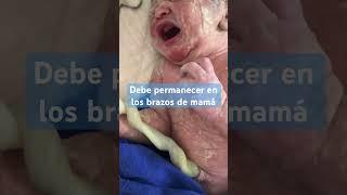Piel con piel es permitir que el bebé se regule en los brazos de mamá al nacer ️ ¿pudiste hacerlo?