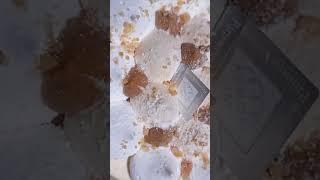 Kumori Experience  https://youtube.com/watch?v=5QPm8Iy1mcg&si=EnSIkaIECMiOmarE #foodie #kumoriph