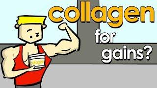 Another Supplement For Building Muscle? Collagen Supplements Explained