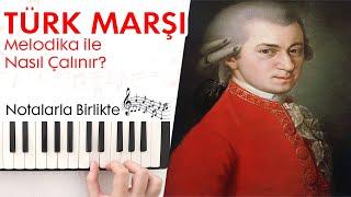 Mozart Türk Marşı Melodika Notaları(Tamamı Hızlı - Yavaş)