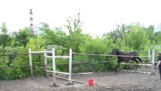 Конхарт 16.07.15 2