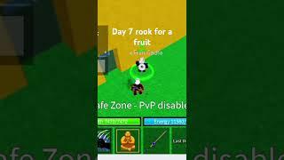 day 7 roll for a fruit #phonk #bloxfruits #eyadprogaming